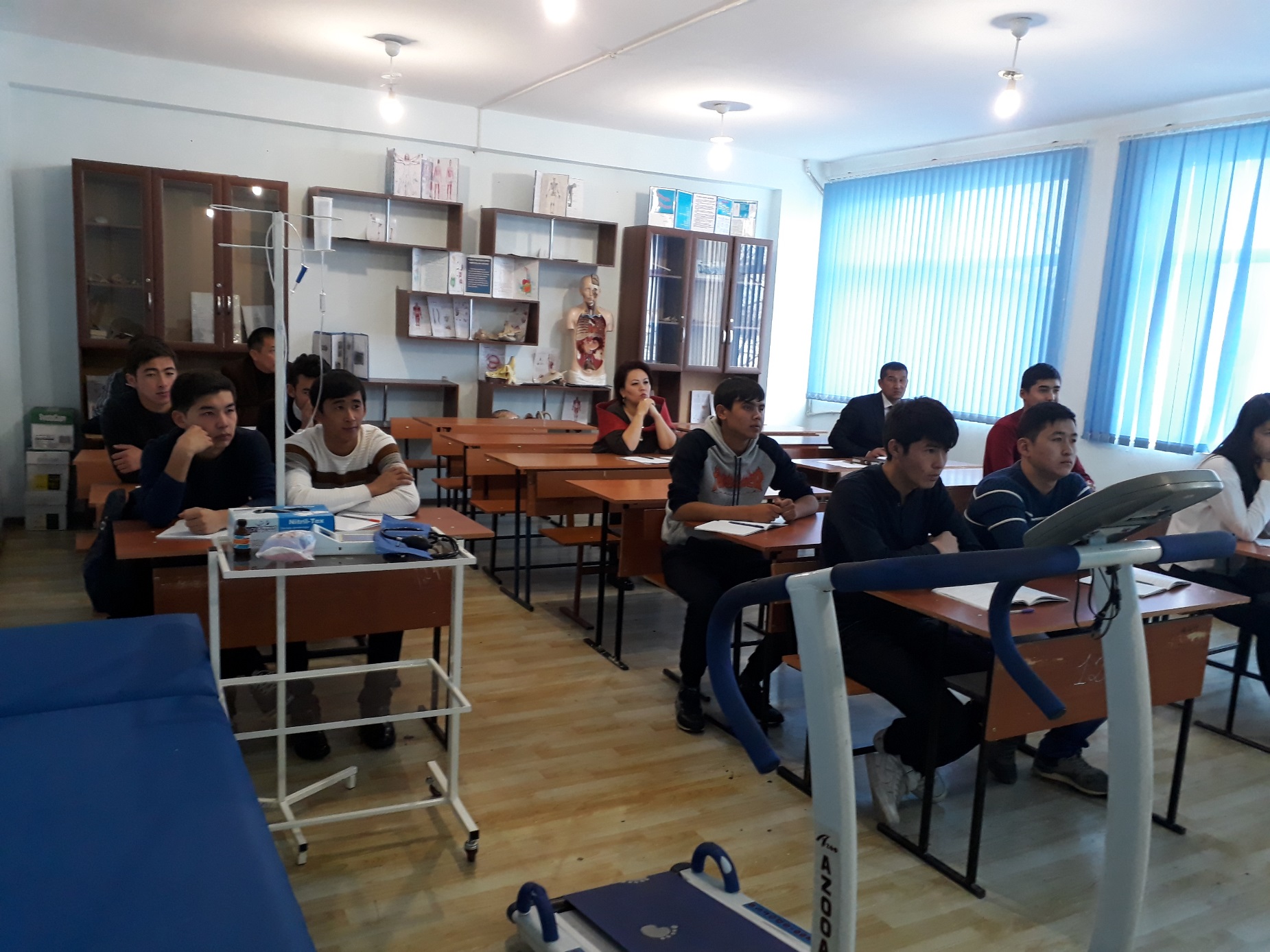 Жүйке жүйесінің маңызын түсіндіру барысы